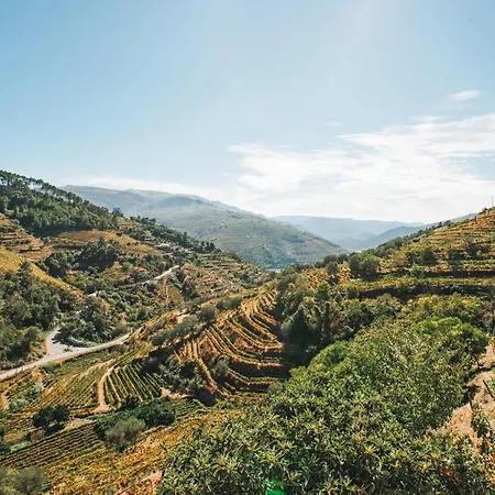 Ninho De Xisto - Natureza, Vinhas E Vistas Vila Marim