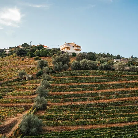 Ninho De Xisto - Natureza, Vinhas E Vistas * Vila Marim
