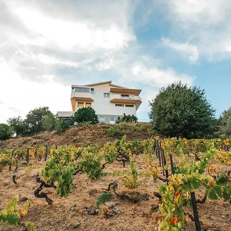 Ninho De Xisto - Natureza, Vinhas E Vistas Villa