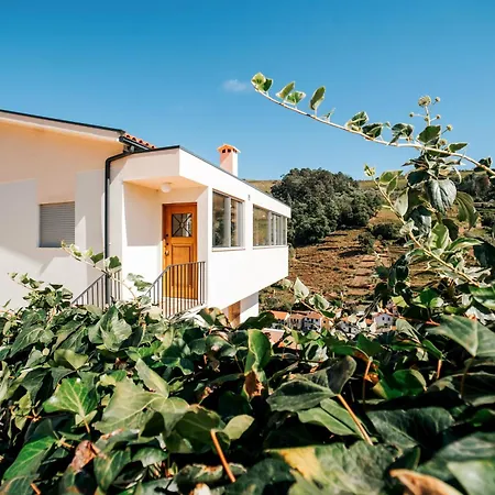 Villa Ninho De Xisto - Natureza, Vinhas E Vistas *