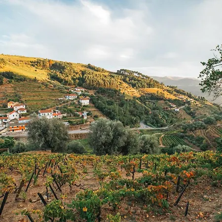 Ninho De Xisto - Natureza, Vinhas E Vistas *