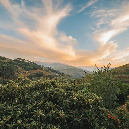 Villa Ninho De Xisto - Natureza, Vinhas E Vistas