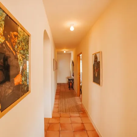 Ninho De Xisto - Natureza, Vinhas E Vistas Villa *